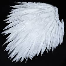 Feathers Wings 3d Model Wings Feather Wings 3d Model