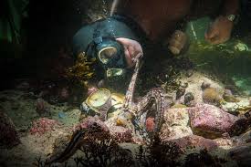 Used to detect if the visitor has accepted the marketing category in the cookie banner. Oscars Predictions 2021 Who Will Win In Each Category