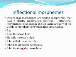 Maybe you would like to learn more about one of these? Ppt Types Of Morphemes Powerpoint Presentation Free Download Id 2222139