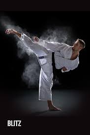 Choose from hundreds of free phone wallpapers. Download The Latest Martial Arts Karate Wallpapers Blitz