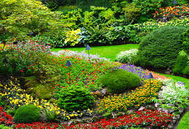 Image result for Horticulture