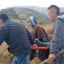 Cuatro muertos y 80 heridos: saldo parcial del brutal choque entre comunidades indígenas en Cauca