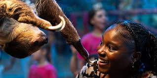 50+ Activities for Kids in Myrtle Beach