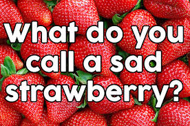 Finally someone who understands me . 25 Bad Jokes From National Tell A Joke Day