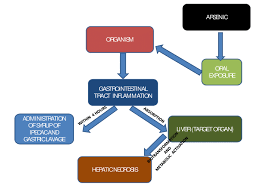 Image result for Syrup of Ipecac