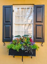 Nantucket window box in black Black Window Shutters Flowers Flower Box Photos Free Royalty Free Stock Photos From Dreamstime