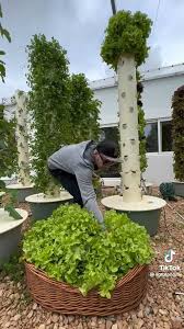 Lorin Treichler (lorintreichler)