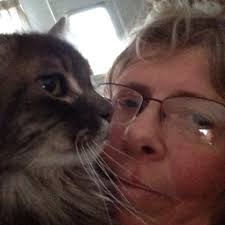 Found cat in westgate area?