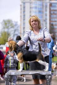 BEAGLE - To Be Lucky Brava ID-18996- Горячие сцены, которые взбудоражат вас