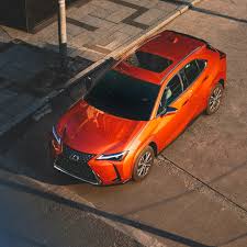 Image result for Cadmium Orange 2023 UX