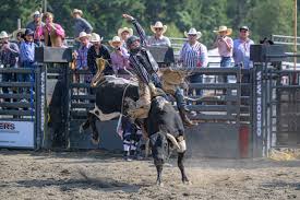 Enumclaw Pro Rodeo results | Courier-Herald