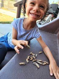 Gift of grubs for daughter from neighbor across alley