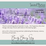 Lavender: An Evening in the Garden