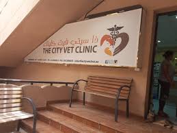 Get reviews, hours, directions, coupons and more for vets & pets veterinary clinic at 4810 n hills blvd, north little rock, ar 72116. The City Vet Clinic Pet Clinics Vets In Mirdif Dubai