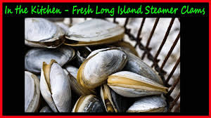 We did not find results for: Cooking Fresh Long Island Steamer Clams Jkmcravetv Youtube