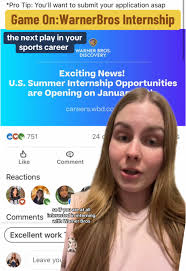 Warner Brothers Summer Internship Application