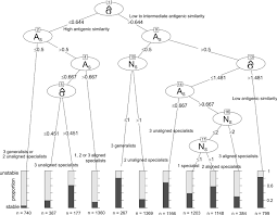 Host Specialisation, Immune Cross-Reaction and the Composition of  Communities of Co-circulating Borrelia Strains