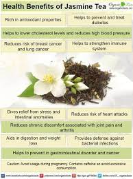 10 Proven Benefits Of Jasmine Tea Organic Facts Recipe Jasmine Tea Benefits Coconut Health Benefits Lemon Benefits