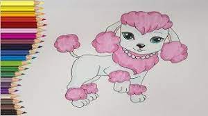 Vă las câteva imagini de colorat specifice temei. Desenez Un Catel Pudel Animale Domestice Caine De Desenat Colorat Youtube