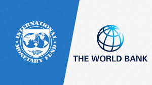 The international monetary fund is worried about the risk new covid variants pose to world's gita gopinath, imf chief economist, joins 'squawk on the street' to discuss the global economic recovery. Imf World Bank Roll Out All Their Lending Tools