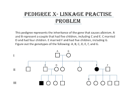 Check spelling or type a new query. Pedigrees Practice Worksheet Answers Promotiontablecovers
