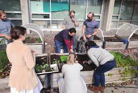 WHAT'S NEW? WHAT'S NEXT?