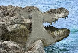 Résultat de recherche d'images pour "‫عجائب وغرائب‬‎"