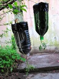 However, if you want to diy it to grow your tomatoes upside down, this is a great option. Guest Post Make A Topsy Turvey Planter From A Plastic Soda Bottle Tomato Planter Upside Down Tomato Planter Diy Plastic Bottle