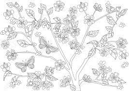 Download and print one of our cherry blossom coloring pages to keep little hands occupied at home; Blossom Cherry And Flying Butterflies For Your Coloring Page Royalty Free Cliparts Vectors And Stock Illustration Image 119626923