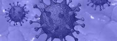 Los virus están constituidos por genes que contienen ácidos nucleicos que forman moléculas largas de adn o arn, rodeadas de proteínas. Coronavirus Comune Di Cento