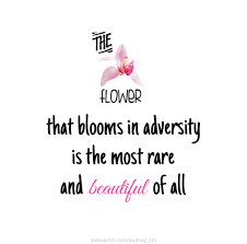 Our capacity to love is not limited; The Flower That Blooms In Adversity Is The Most Rare And Beautiful Of All