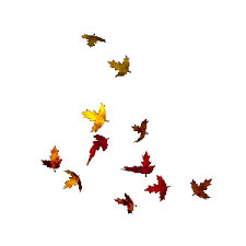 Autumn fall leaf leaves dog. Leaves Gif By Firstlove50003010 Photobucket Falling Gif Beautiful Gif Autumn Leaves