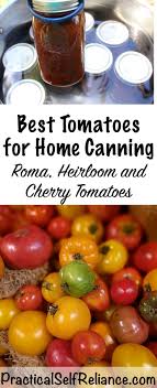 Cook tomato mixture over medium heat until heated through and then simmer for 30 minutes. Best Tomatoes For Canning Cherry Tomatoes Canning Cherry Tomatoes Canning Recipes