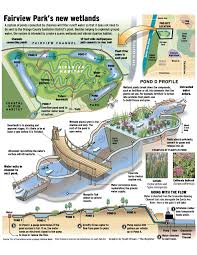 Wetland Restoration Before And After Graphics Google Search Wetland Ecology Design Groundwater