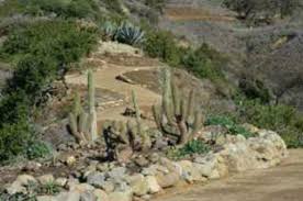 Meadowlark botanical gardens offers a variety of membership levels, starting with a simple annual individual. Ventura Botanical Gardens 2021 All You Need To Know Before You Go With Photos Tripadvisor
