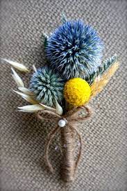 Billy Buttons Flower Of Scotland Best Flower Wallpaper