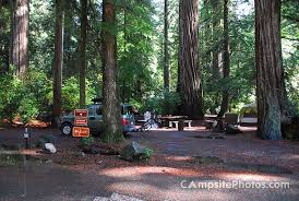 The park itself is 10,000 acres in. Jedediah Smith Redwoods State Park Campsite Photos Availability Alerts State Parks Redwood Redwood Forest
