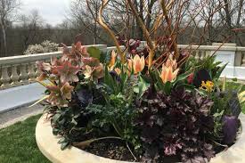 Small floating plants, small marginal plants and small submerged plants. Best Flowers For Container Gardening Perennials Annuals The Old Farmer S Almanac