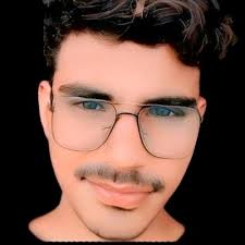 AI system saves 6,592 elephants in Tamil Nadu