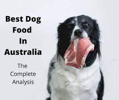 Allie (13) is a labrador from australia that started on a raw food diet 11 years old. 6 Best Dog Food Options Australia 2021 Expert Guide Gentledogtrainers Com Au