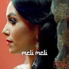 In 2007 he made an arab remix of akon's song ghetto.. Meli Meli Refix Ali B Ronnie Flex Numidia By Vision