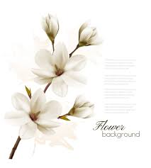 Pin On Flowers