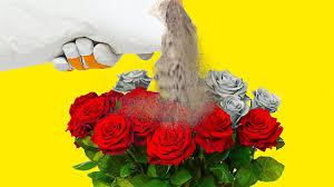 ادوات منزلية حديثة /حيل وافكار #تكنلوجيا_الصين #ادوات_منزلية. Ø­ÙŠÙ„ ÙˆØ£ÙÙƒØ§Ø± ÙÙŠ Ø§Ù„ØªÙ†Ø¸ÙŠÙ Ù„Ù„ÙƒØ³Ø§Ù„Ù‰ Ø­ÙŠÙ„ Ù…Ù†Ø²Ù„ÙŠØ© ÙˆØ£ÙÙƒØ§Ø± Ù„Ù„ØªÙ†Ø¸ÙŠÙ… Youtube