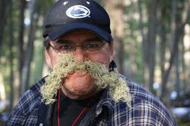 Albert Sandberg (@AlbertSandberg)