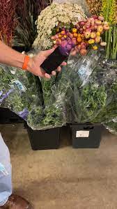 Costco wholesale employee reviews in houston, tx. Taylor Wholesale Florist Home Facebook