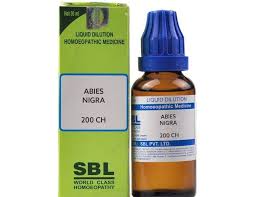 Image result for abies nigra