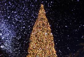 Maybe you would like to learn more about one of these? Fashion Island S Annual Tree Lighting Ceremony Returns For Two Nights To Celebrate Holiday Season Irvine Company