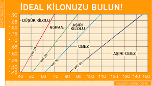 Boy Uzunluguna Gore Ideal Kilo Tablosu Cinsiyet Kilo Diyetisyen