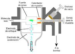 Maybe you would like to learn more about one of these? Https Www Mncn Csic Es Docs Repositorio Es Es Investigacion Cromatografia Espectrometria De Masas Pdf