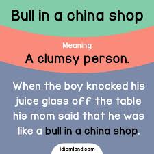 Idiom Of The Day Bull In A China Shop Meaning A Clumsy Person Example When The Boy Knoc English Vocabulary Words English Idioms Learn English Vocabulary